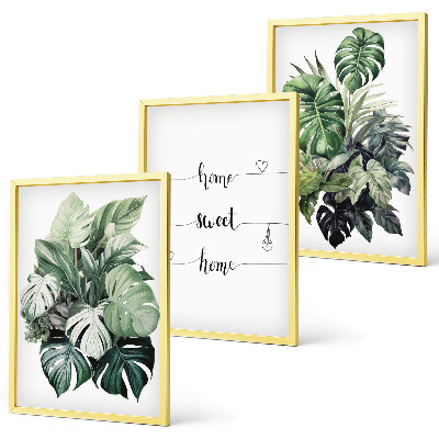Set of 3 framed wall art pieces Watercolor Monstera Leaves