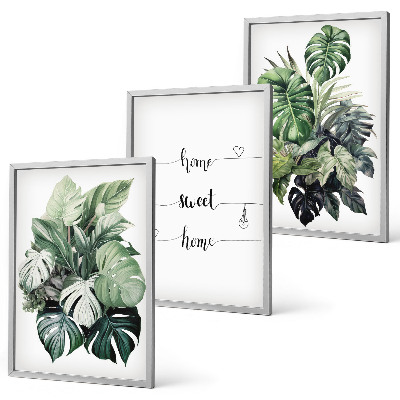 Set of 3 framed wall art pieces Watercolor Monstera Leaves
