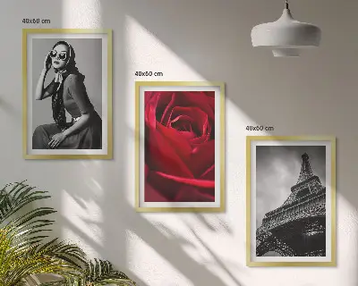 Wall art set featuring a Parisian lady with Eiffel Tower glasses