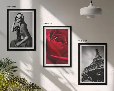 Wall art set Parisian lady with Eiffel glasses