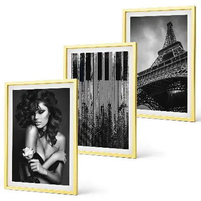 Portrait of a Woman with an Eiffel Rose three-piece wall art set