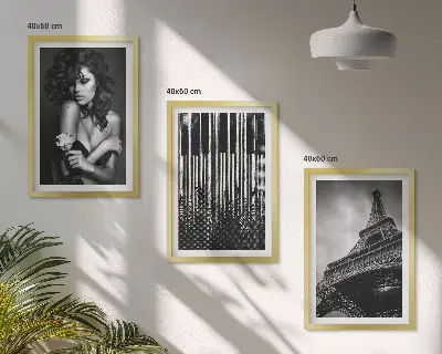 Portrait of a Woman with an Eiffel Rose three-piece wall art set