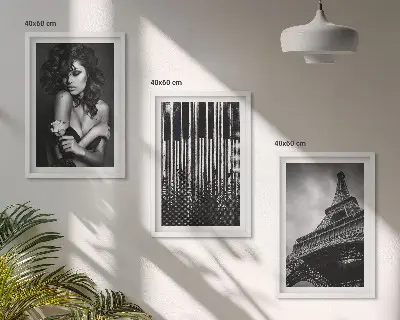 Portrait of a Woman with an Eiffel Rose three-piece wall art set