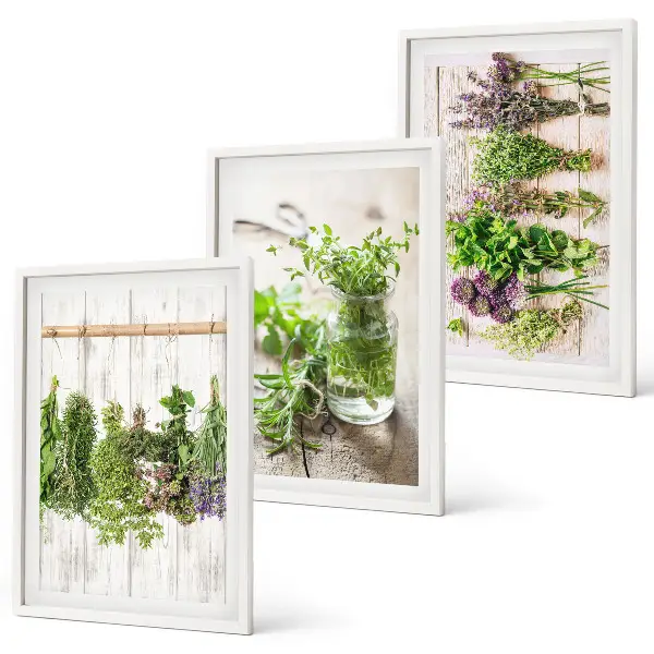 Kitchen herb plant wall art set a decorative collection for the kitchen