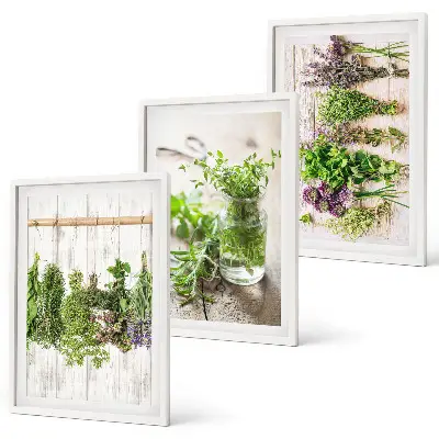Kitchen herb plant wall art set a decorative collection for the kitchen