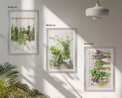 Kitchen herb plant wall art set a decorative collection for the kitchen