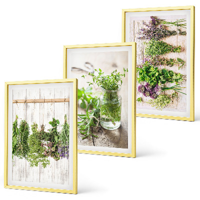 Wall art set Herbs plants for the kitchen