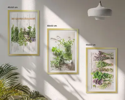 Kitchen herb plant wall art set a decorative collection for the kitchen