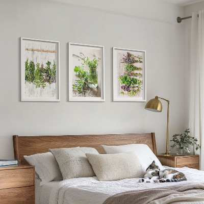 Wall art set Herbs plants for the kitchen