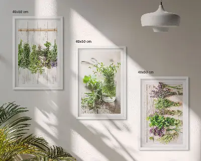 Kitchen herb plant wall art set a decorative collection for the kitchen