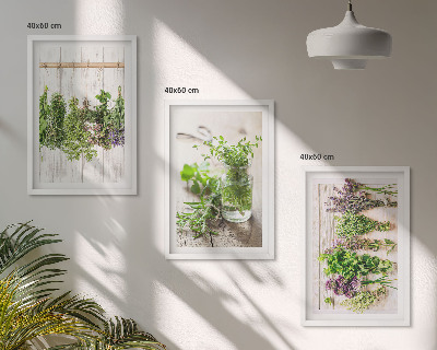 Wall art set Herbs plants for the kitchen