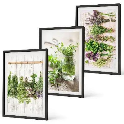 Kitchen herb plant wall art set a decorative collection for the kitchen