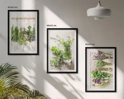Kitchen herb plant wall art set a decorative collection for the kitchen