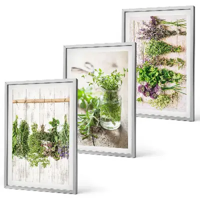 Kitchen herb plant wall art set a decorative collection for the kitchen