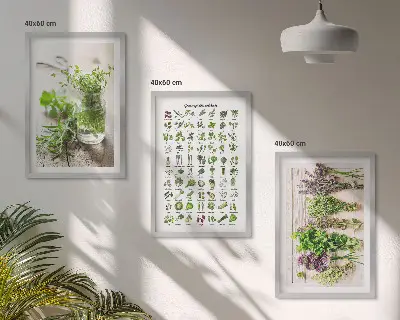 Dried herbs for the kitchen three-piece wall art set