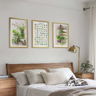 Three-piece wall art piece Dried herbs for the kitchen