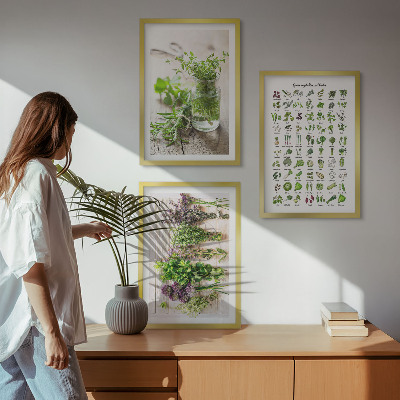 Three-piece wall art piece Dried herbs for the kitchen