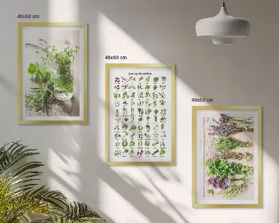 Dried herbs for the kitchen three-piece wall art set