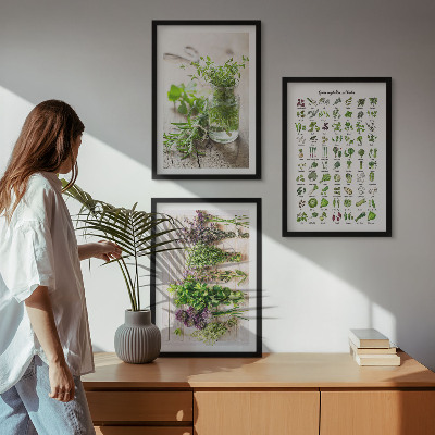 Three-piece wall art piece Dried herbs for the kitchen