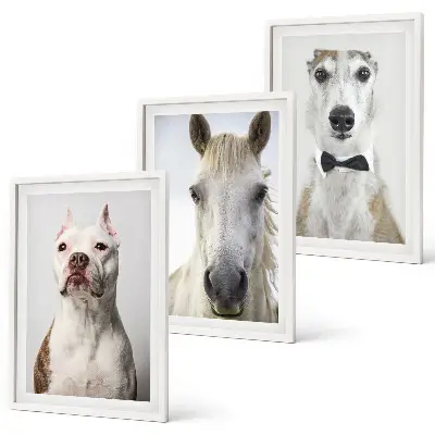 Set of 3 framed wall art pieces Portraits of dogs and horses elegantly