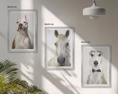 Set of 3 framed wall art pieces featuring elegant portraits of dogs and horses