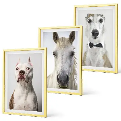 Set of 3 framed wall art pieces Portraits of dogs and horses elegantly