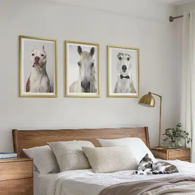 Set of 3 framed wall art pieces featuring elegant portraits of dogs and horses