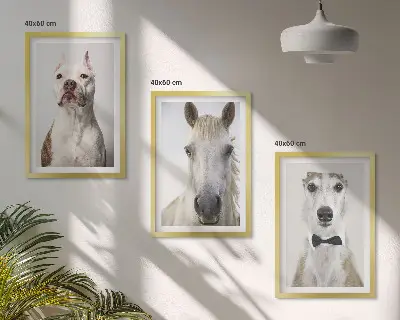 Set of 3 framed wall art pieces Portraits of dogs and horses elegantly
