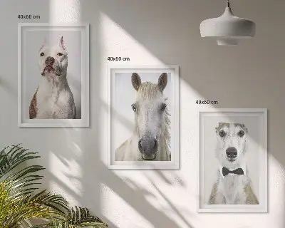 Set of 3 framed wall art pieces featuring elegant portraits of dogs and horses