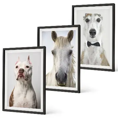Set of 3 framed wall art pieces featuring elegant portraits of dogs and horses