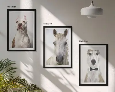 Set of 3 framed wall art pieces featuring elegant portraits of dogs and horses