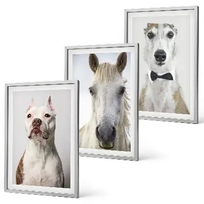 Set of 3 framed wall art pieces Portraits of dogs and horses elegantly