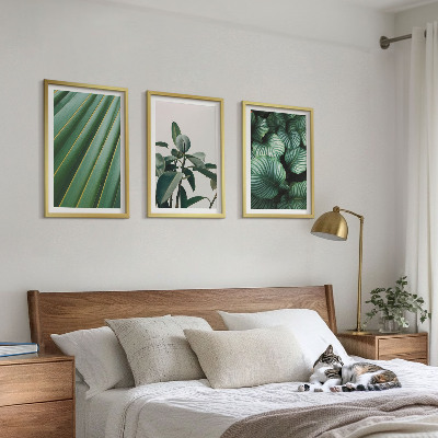Set of 3 framed wall art pieces Aesthetic tropical leaves