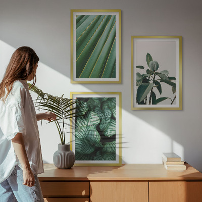 Set of 3 framed wall art pieces Aesthetic tropical leaves