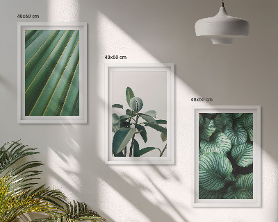 Set of 3 framed wall art pieces Aesthetic tropical leaves