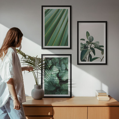 Set of 3 framed wall art pieces Aesthetic tropical leaves