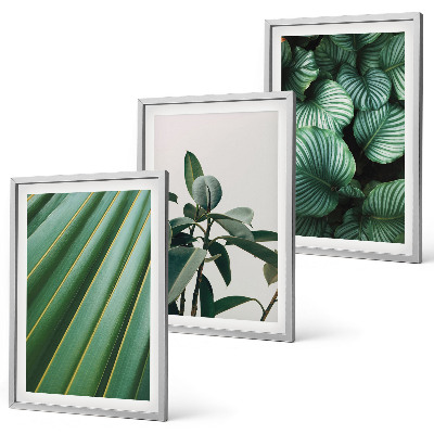 Set of 3 framed wall art pieces Aesthetic tropical leaves