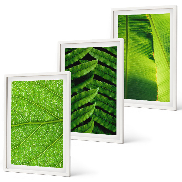 Wall art set Tropical leaves macro photography