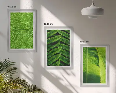 Tropical Leaves Macro Photography Wall Art Set 