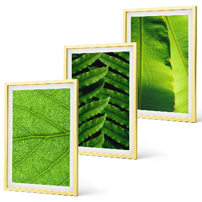 Wall art set Tropical leaves macro photography