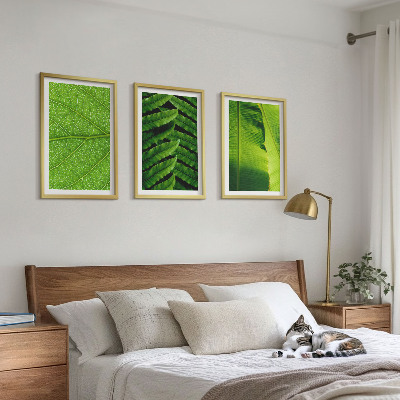 Wall art set Tropical leaves macro photography
