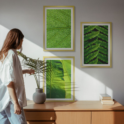 Wall art set Tropical leaves macro photography