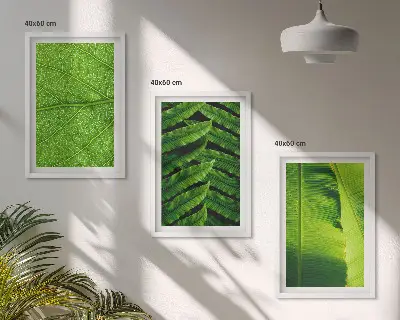Tropical Leaves Macro Photography Wall Art Set 
