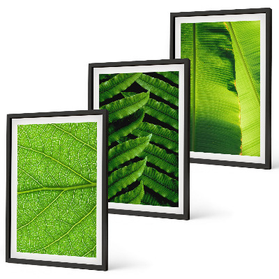 Wall art set Tropical leaves macro photography