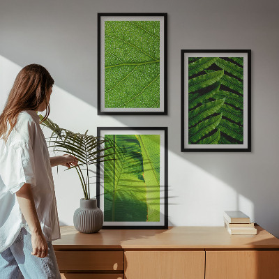 Wall art set Tropical leaves macro photography