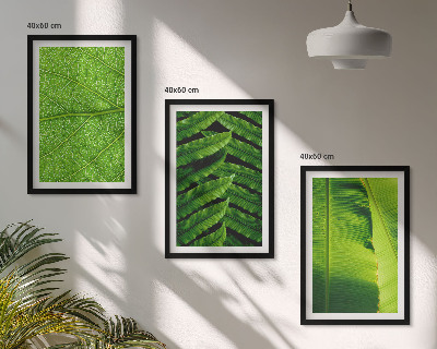 Wall art set Tropical leaves macro photography