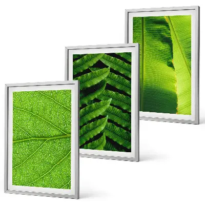 Tropical Leaves Macro Photography Wall Art Set 