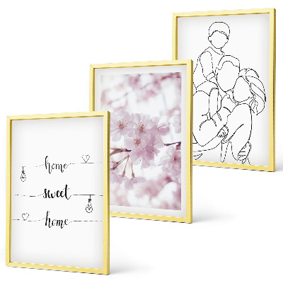 Set of 3 framed wall art pieces Flowers family minimalist