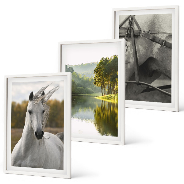 Set of 3 framed wall art pieces White horses river nature