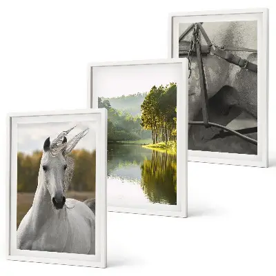 Set of 3 framed wall art pieces featuring white horses by the river in nature